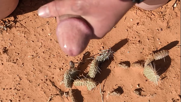Renewing My Membership in the Cactus Lover’s Club